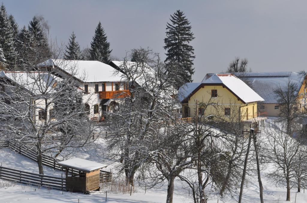 Hotel Tourist Farm Stern Pri Kovacniku Fram Exterior foto
